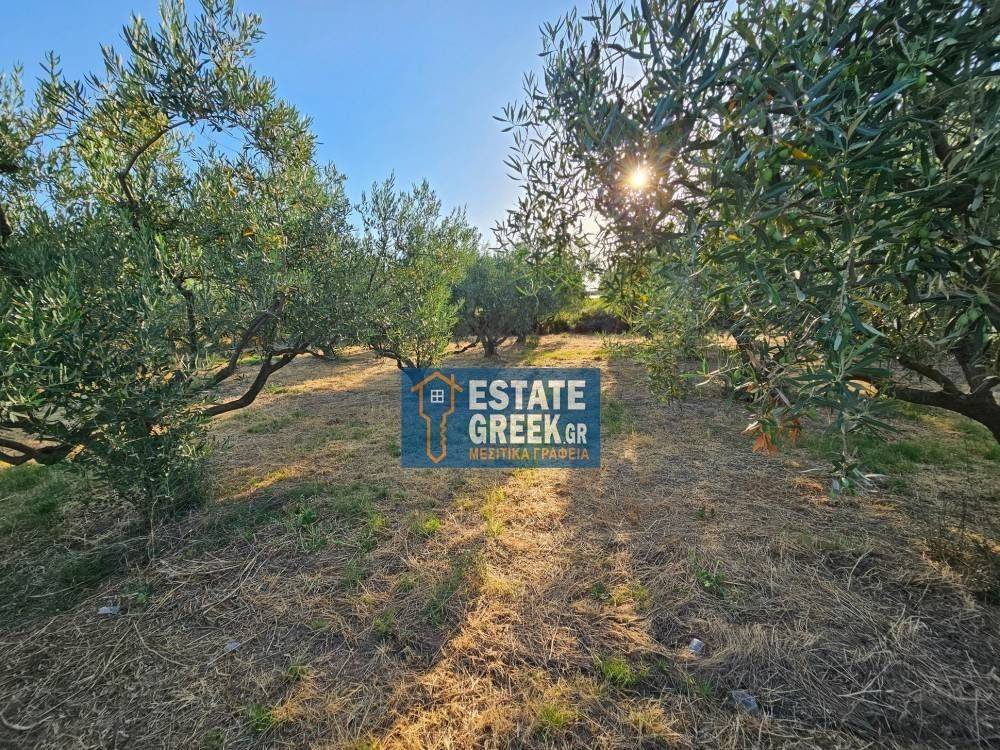 ★ 200m FROM THE SEA ★ A caravan can be installed ★