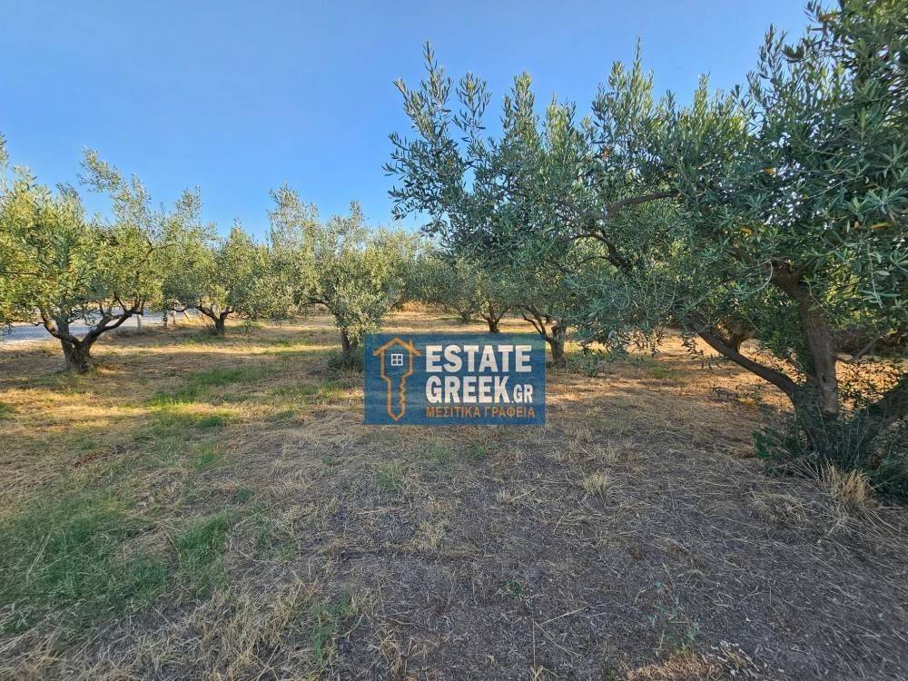 ★ 200m FROM THE SEA ★ A caravan can be installed ★