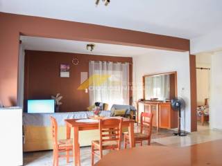 Agora triari diamerismatos ston Agio Eleytherio Alexandroupolis