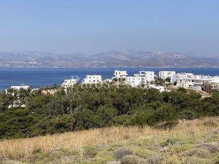 Θέα από το αγροτεμάχιο