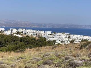 Θέα από το αγροτεμάχιο