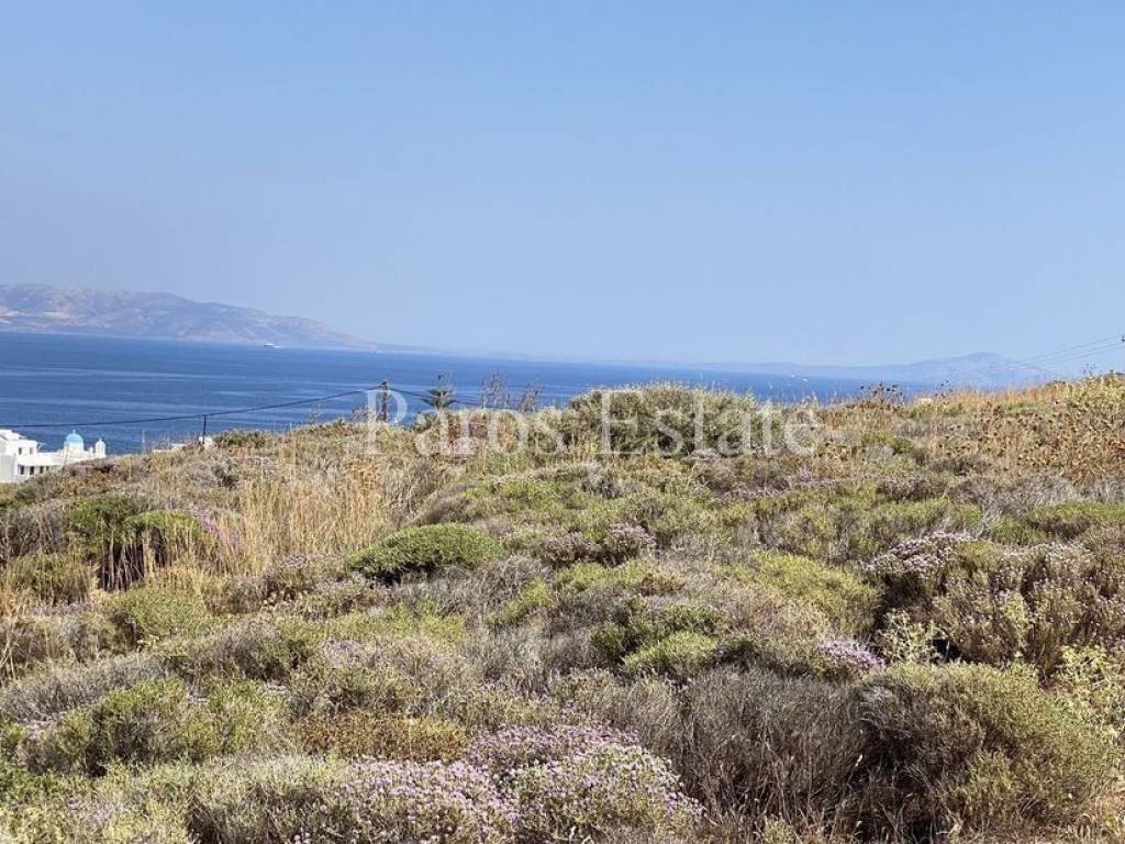 Θέα από το αγροτεμάχιο