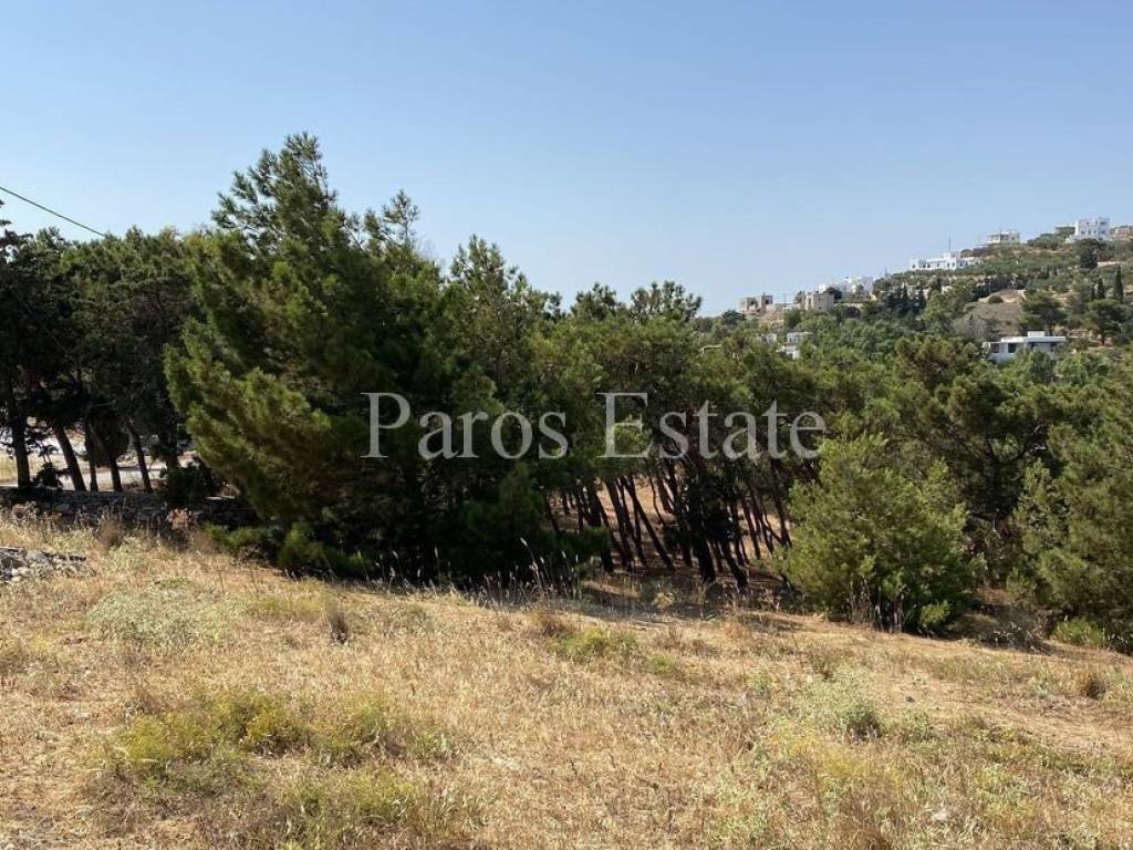 Όριο αγροτεμάχιο