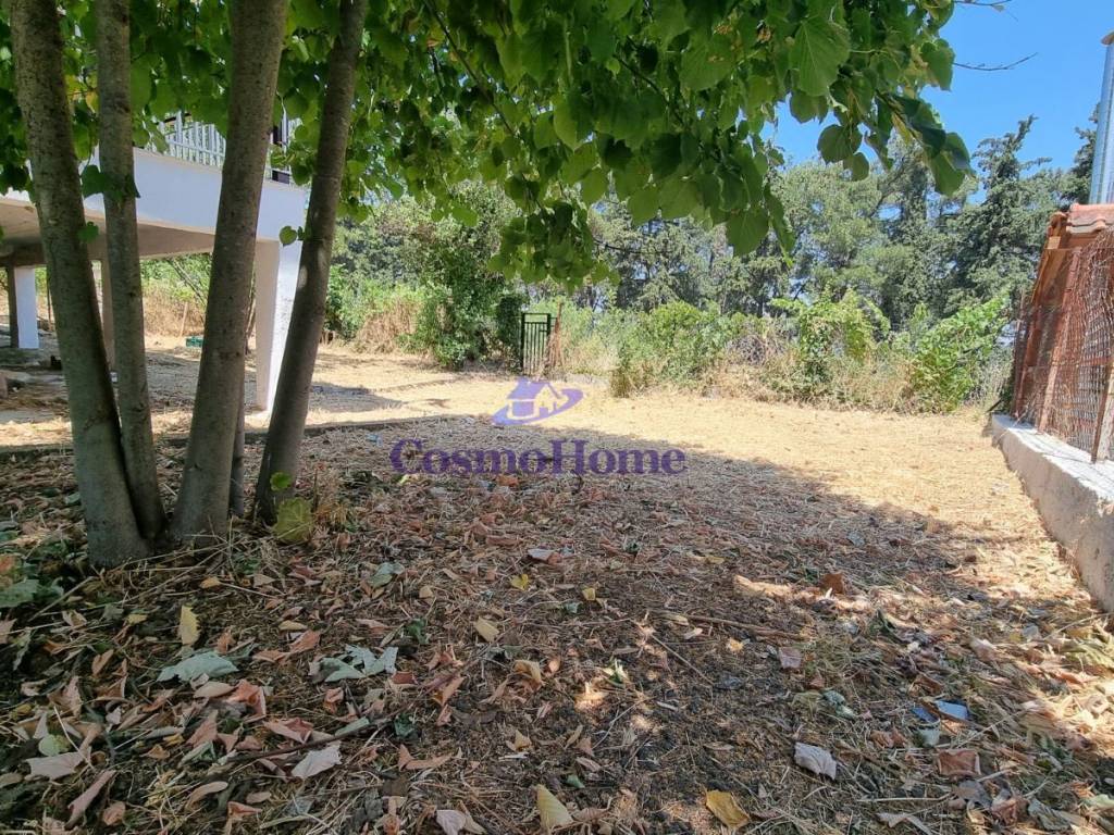 ΚΗΠΟΣ ΑΚΙΝΗΤΟΥ