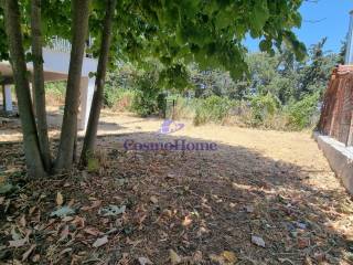 ΚΗΠΟΣ ΑΚΙΝΗΤΟΥ