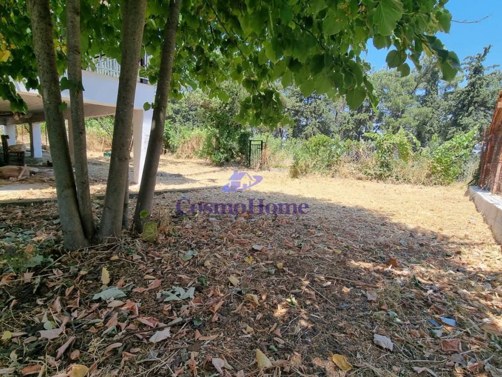 ΚΗΠΟΣ ΑΚΙΝΗΤΟΥ