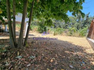 ΚΗΠΟΣ ΑΚΙΝΗΤΟΥ