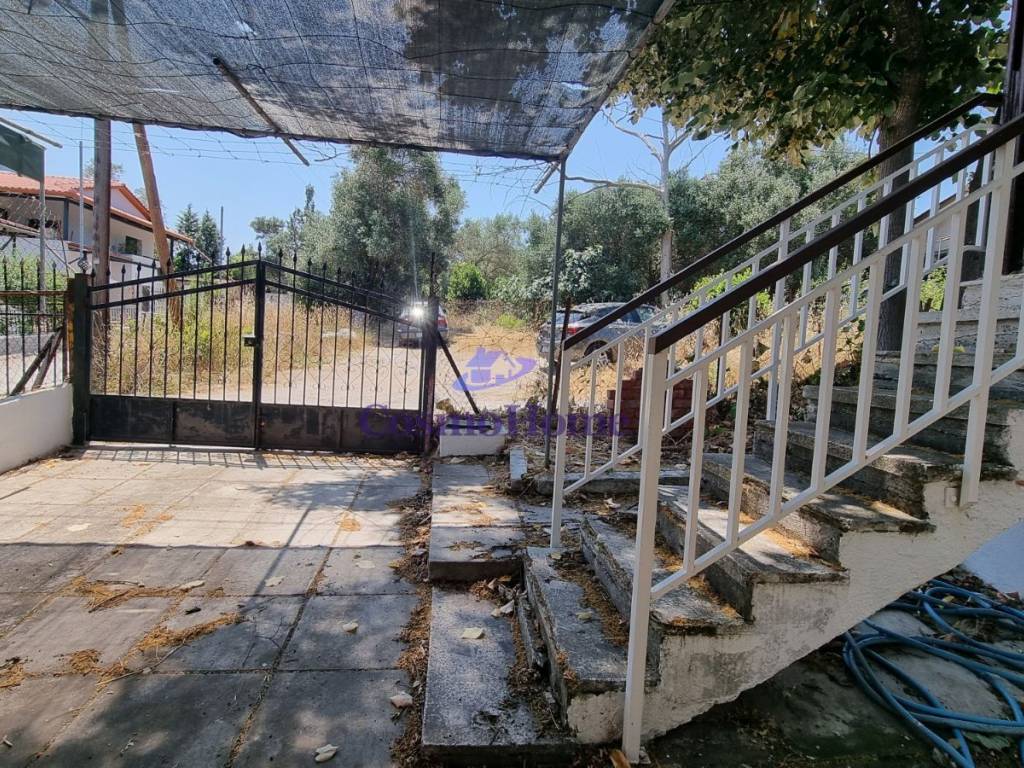 ΚΗΠΟΣ ΑΚΙΝΗΤΟΥ