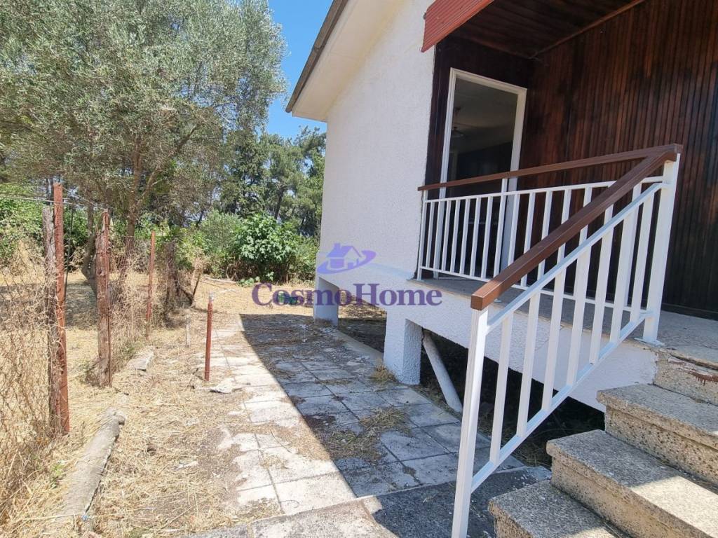 ΚΗΠΟΣ ΑΚΙΝΗΤΟΥ