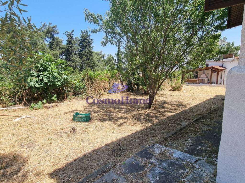 ΚΗΠΟΣ ΑΚΙΝΗΤΟΥ