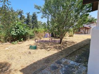 ΚΗΠΟΣ ΑΚΙΝΗΤΟΥ