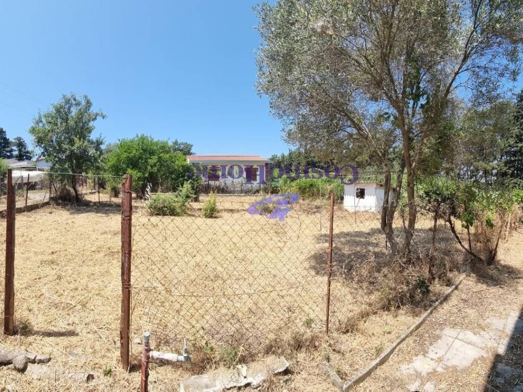 ΚΗΠΟΣ ΑΚΙΝΗΤΟΥ