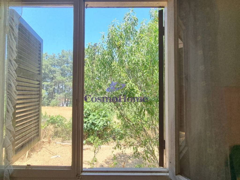 ΘΕΑ ΑΚΙΝΗΤΟΥ