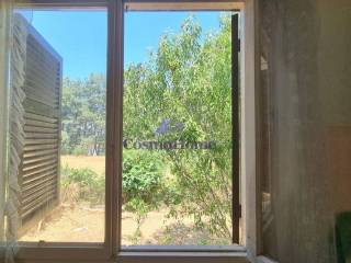 ΘΕΑ ΑΚΙΝΗΤΟΥ