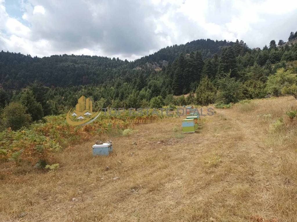 Apopse agrotemachioy