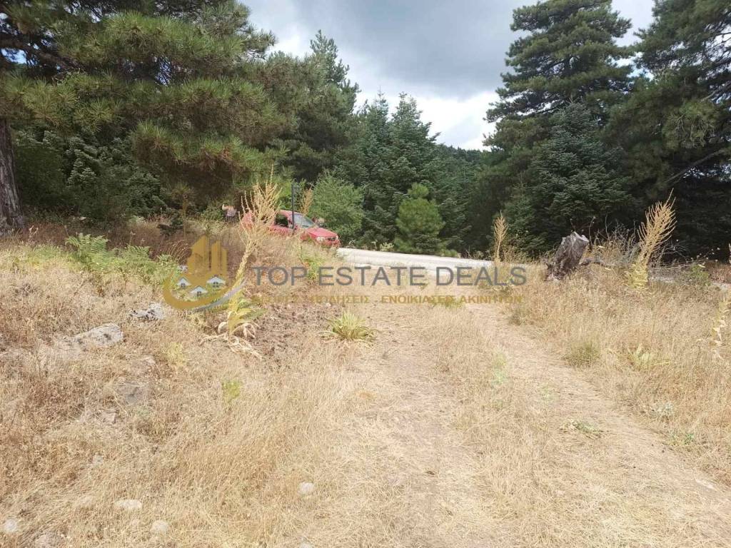 Dromos apo ten kentrike odo pros to xenodocheio