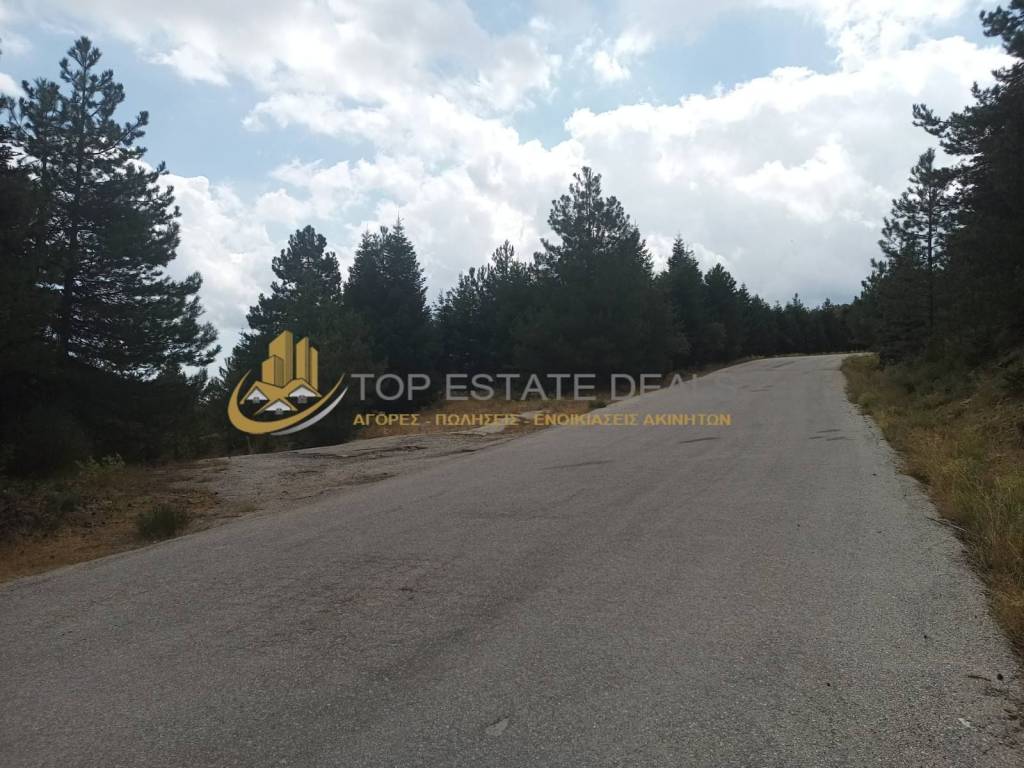 Eparchiake odos gia to chionodromiko ,aristera o dromos gia