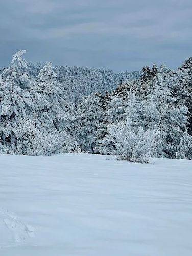 Ζήρεια Άνω Τρίκαλα Κορινθίας