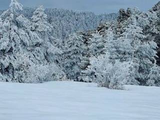 Ζήρεια Άνω Τρίκαλα Κορινθίας
