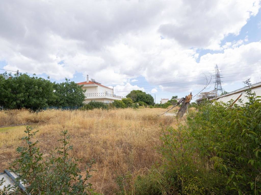 Εξωτερικοι χώροι