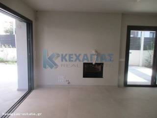 ΣΑΛΟΚΟΥΖΙΝΑ