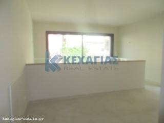 ΕΣΩΤΕΡΙΚΟ ΑΙΘΡΙΟ ΠΡΩΤΟΥ ΟΡΟΦΟΥ