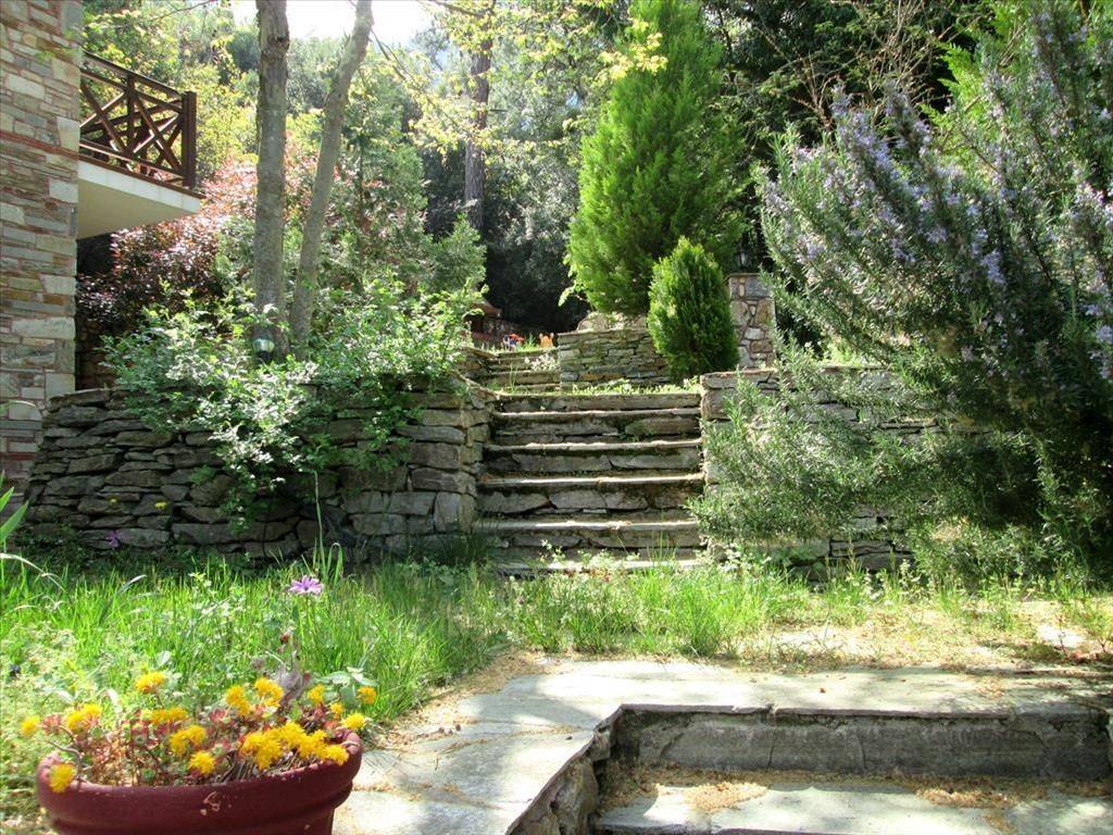 Hotel - Grekodom 3757|44774