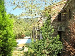 Hotel - Grekodom 3757|44768