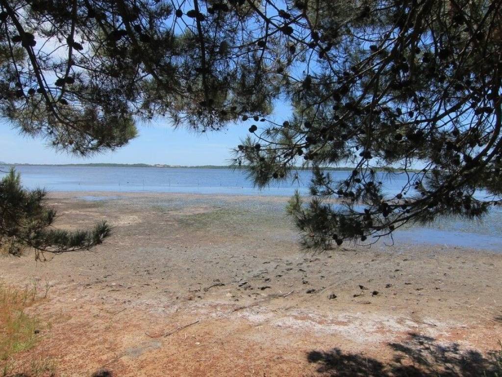 Detached - Grekodom 47382|687262