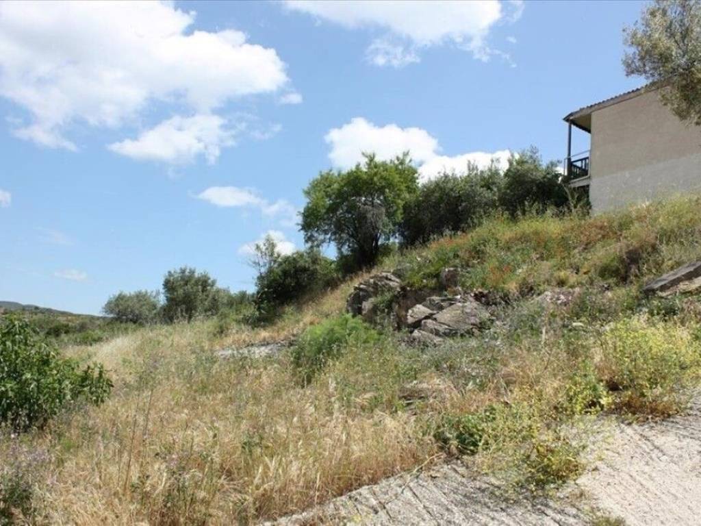 Plot - Grekodom 60059|882126