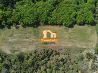 Ταξιάρχης, Αγροτεμάχιο, 16.360 τ.μ.