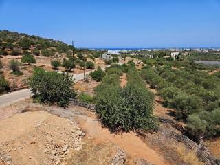 Plot - Grekodom 63801|999580