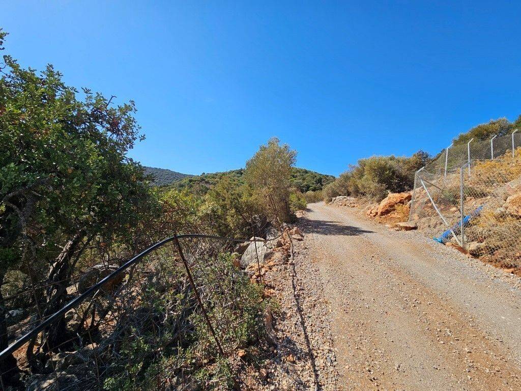 Plot - Grekodom 63847|1002068