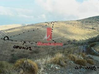 O dromos poy paei sto ktema - Polygoniko schema