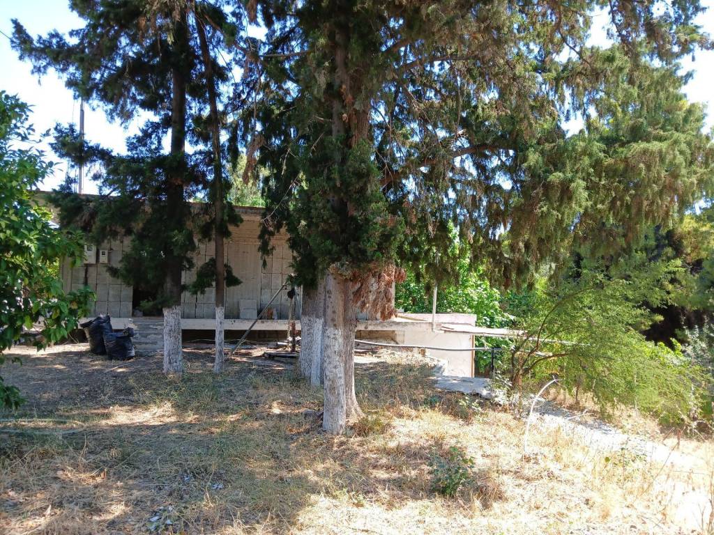 AGROTEMACHIO KAI KATOIKIA