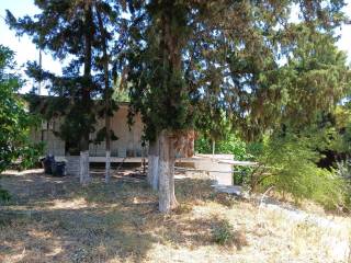 AGROTEMACHIO KAI KATOIKIA