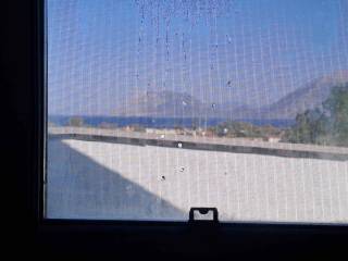 ΣΟΦΙΤΑ 26ΤΜ ΜΕ ΘΕΑ ΘΑΛΑΣΣΑ