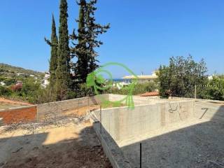 Idiotikos kepos kai pisina