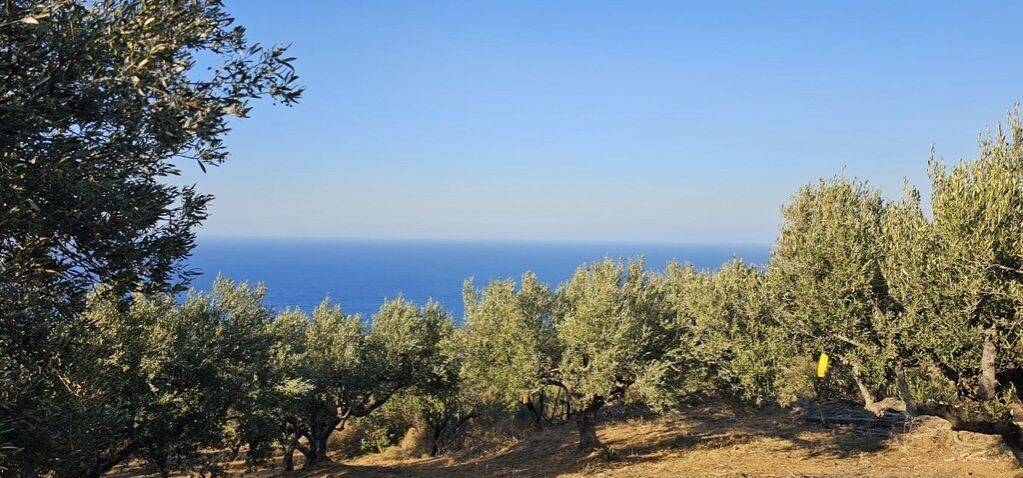 Maisonette - Grekodom 63656|994845