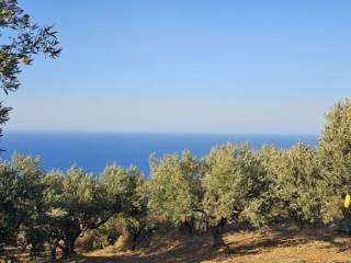 Maisonette - Grekodom 63656|994845