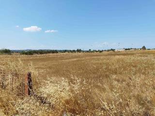 το αγροτεμάχιο των 11200 τμ