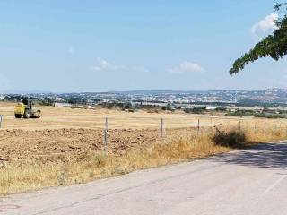 8 η οδός κατασκευή προπονητηριου ΠΑΟΚ