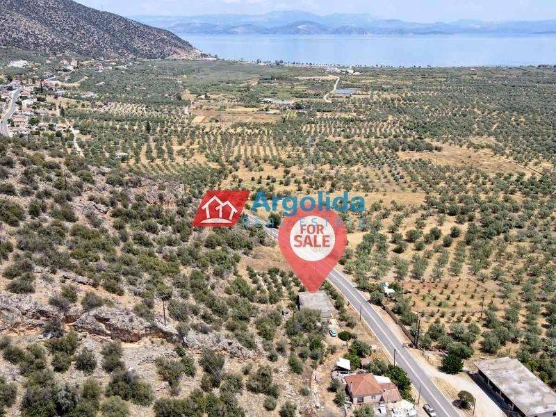 Ύπαρξη ανθρώπου