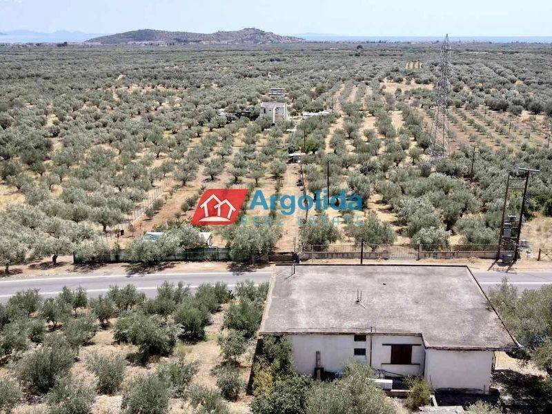 Ύπαρξη ανθρώπου