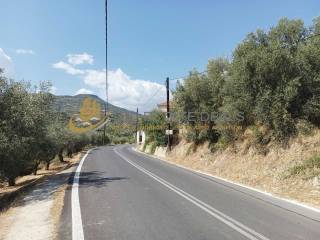 Eparchiake odos Trikalon