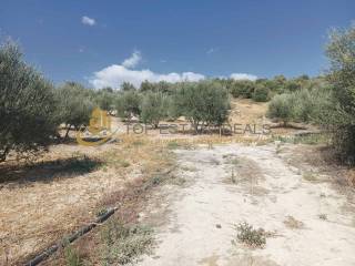 Dromos entos toy oikopedoy - elies