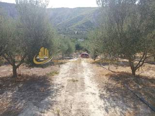 Dromos oikopedoy - elies