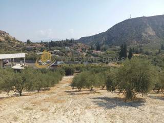 Apopse oikopedoy - elies -thea