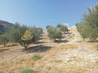 oikopedo -elies-aytomato potisma