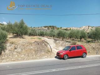 Είσοδος στο οικόπεδο από την επαρχιακή οδό Τρικάλων